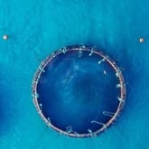 aquaculture-brochure