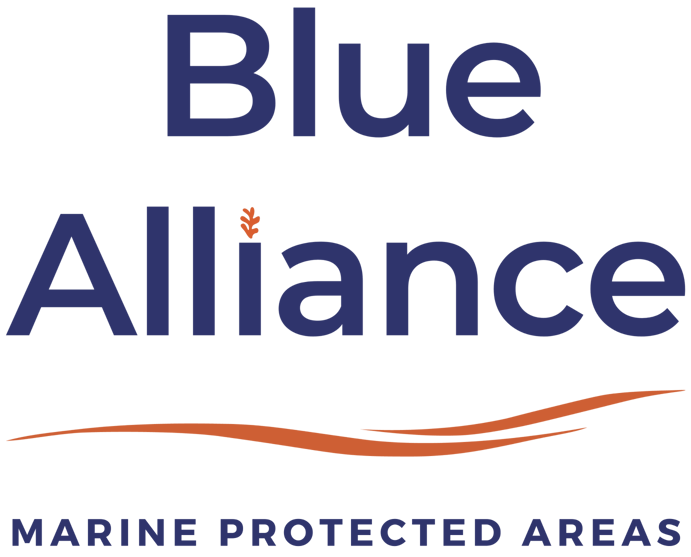 blue alliance-1
