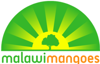 malawi-mangoes-1