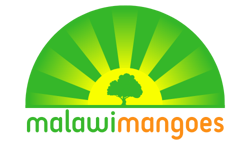malawi-mangoes