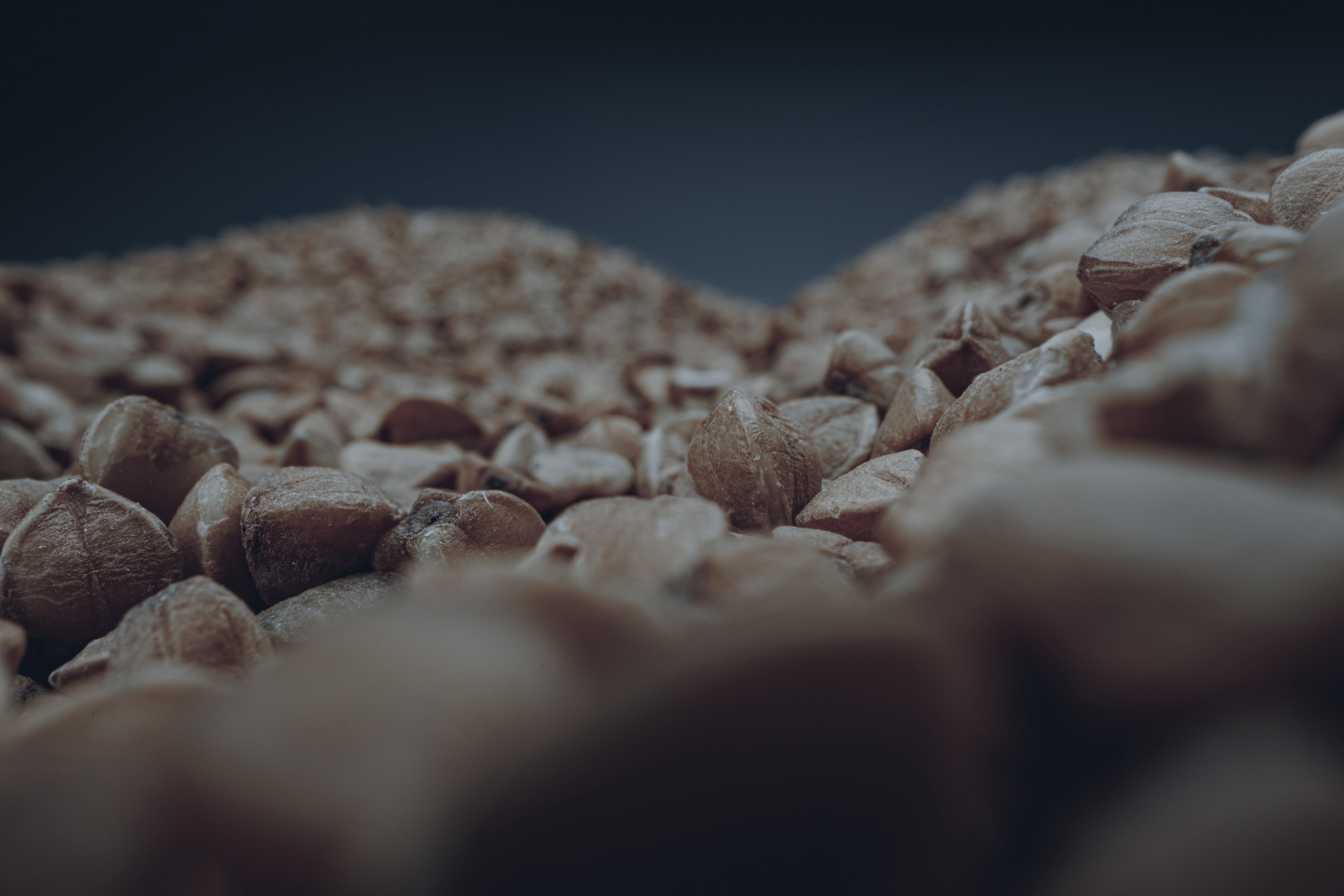 tiles New agriculture homepage