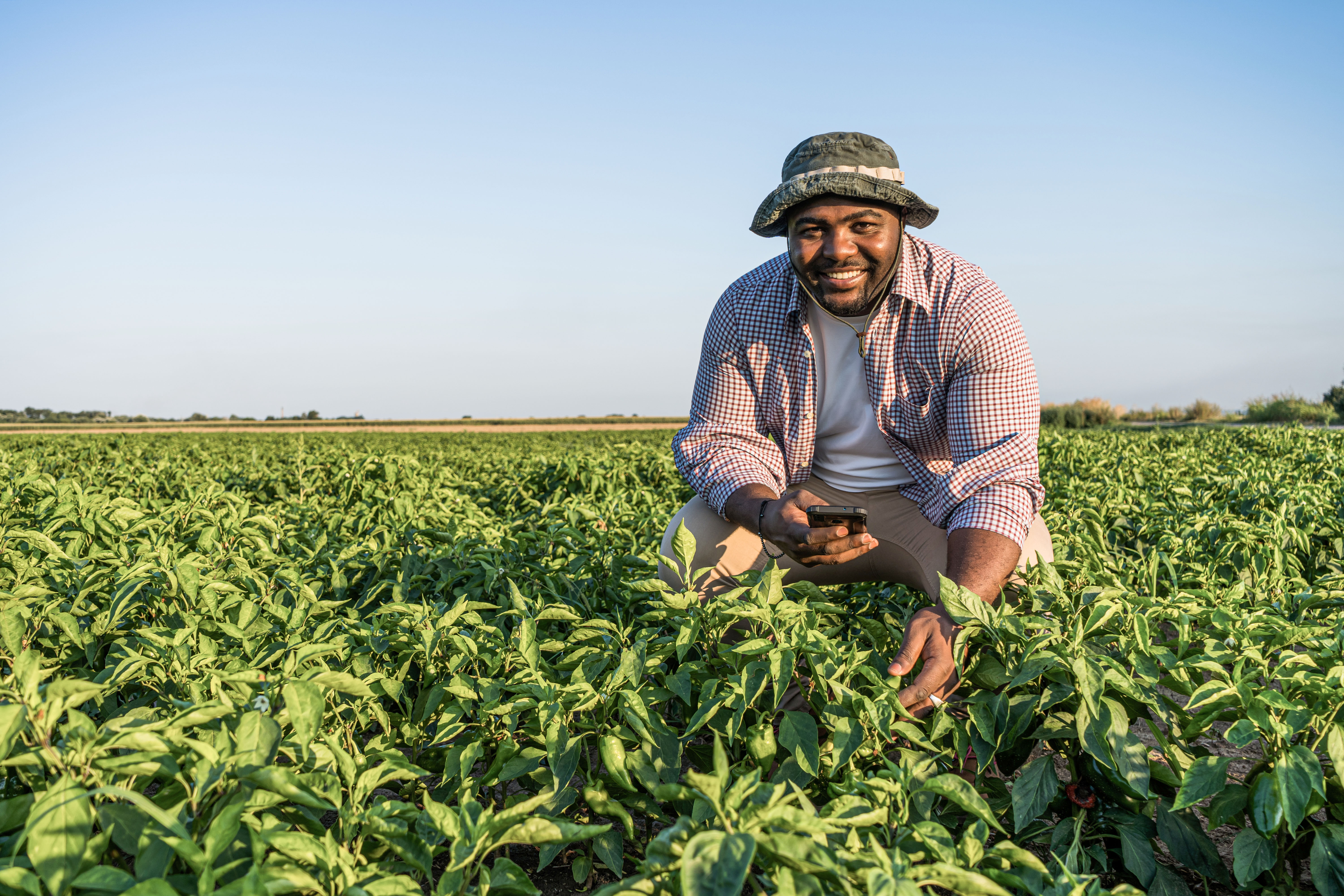 Vice President - Continental Programs and Technical Advisory, AGRA