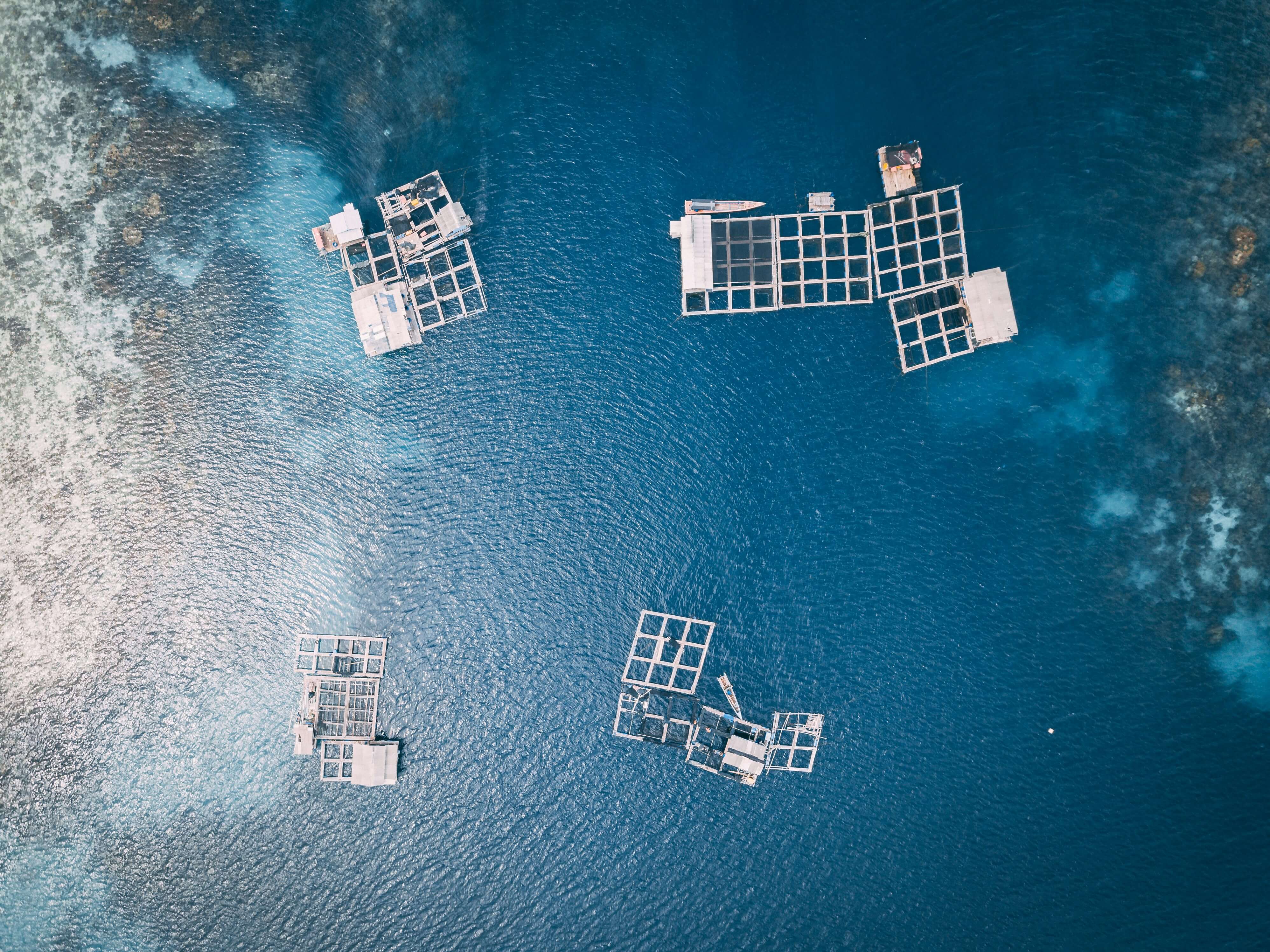 Recruiting for the aquaculture industry