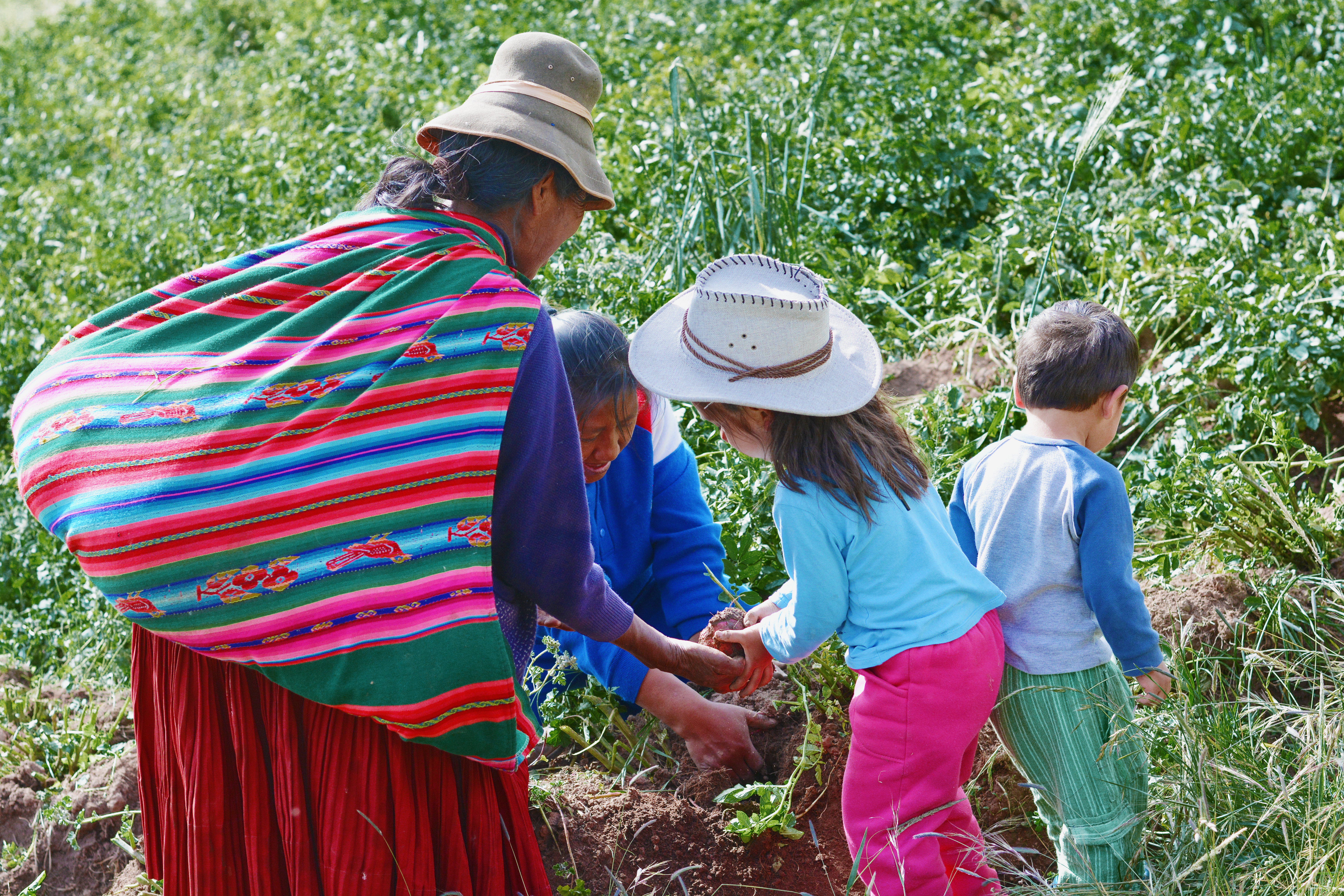 Senior Manager Indigenous Peoples Engagement, FSC