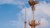 Executive and professional search solutions for the TMT sector