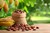 World Cocoa Foundation