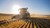Solutions de recherche de cadres supérieurs et de dirigeants pour les clients spécialisés dans l'agroalimentaire